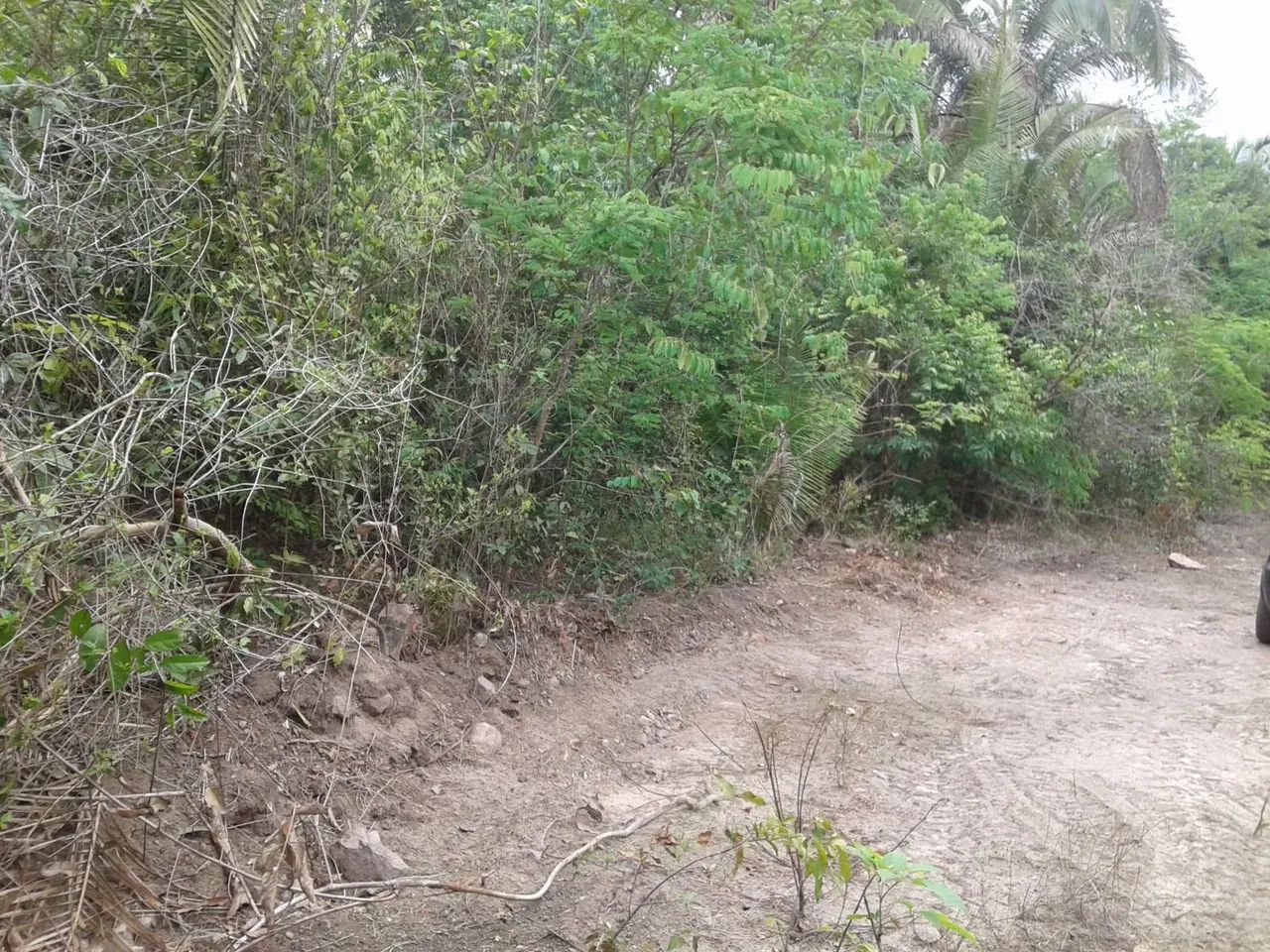 Foto - Teresina - Piçarreira