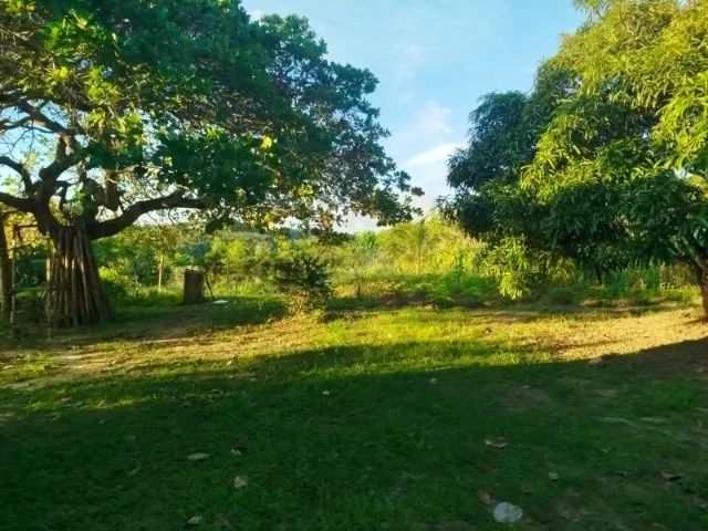 Sitio em sao cristovão povoado casulo - Foto 3