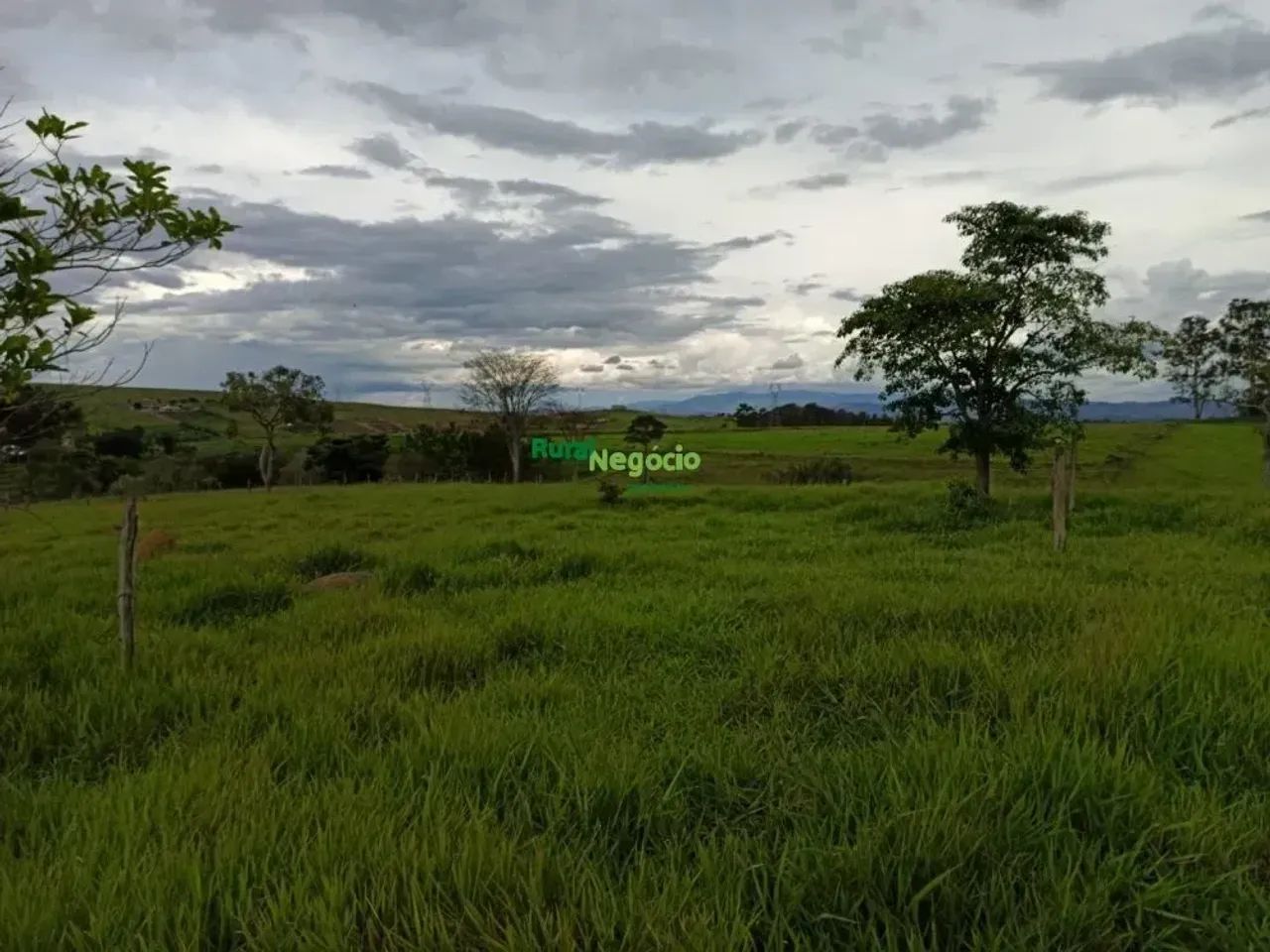 Sítio com pasto formado e sem benfeitorias em Lorena-SP - Foto 3