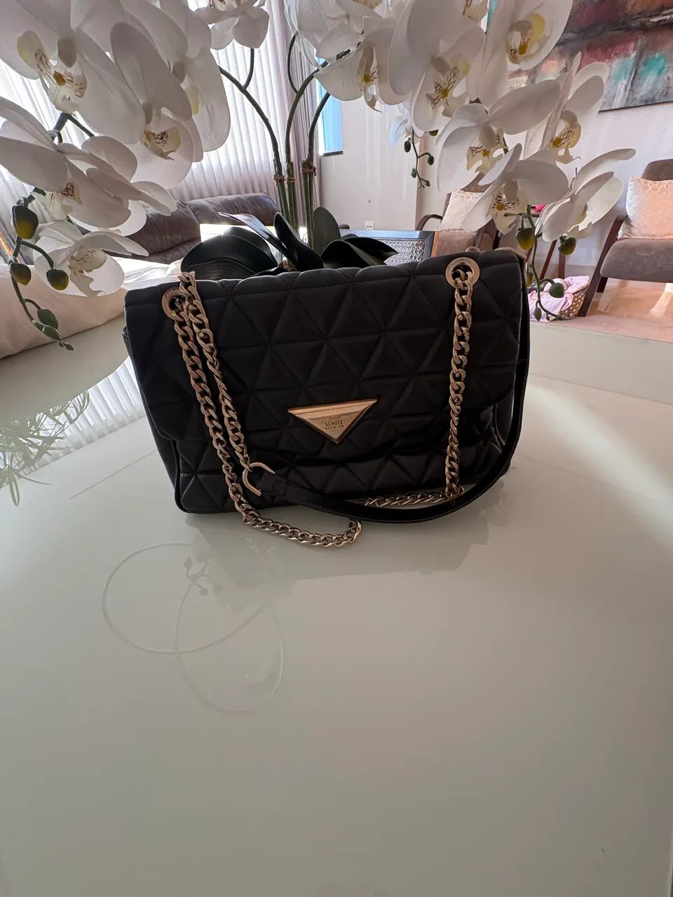 Bolsa da Schutz  - Foto 4