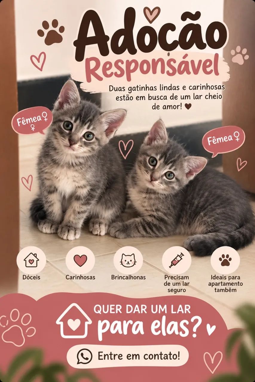 Doação de gatinhas 