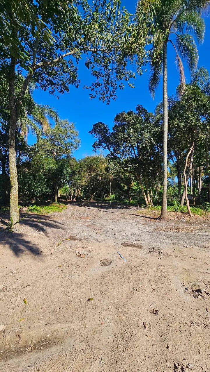 Terreno 1.000m² para Locação no Campeche | 5KM do Aeroporto de Florianópolis - Foto 8