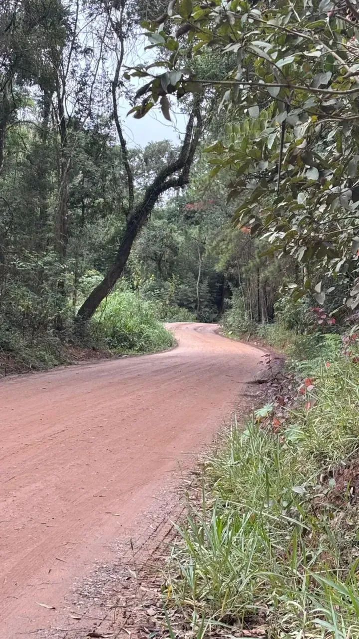 Terrenos no Aurora Park: Espaço, Natureza e Tranquilidade - Foto 5