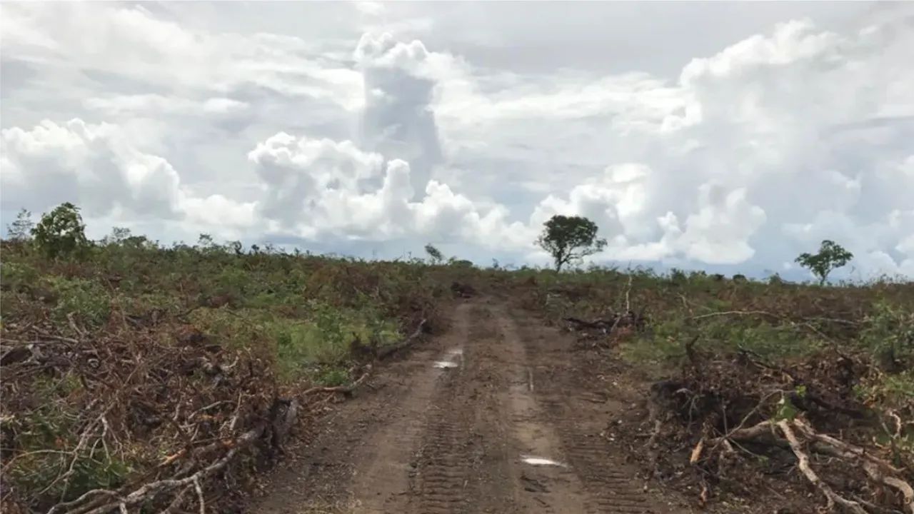 FAZENDA JOMA | PEIXE  TO - Foto 4