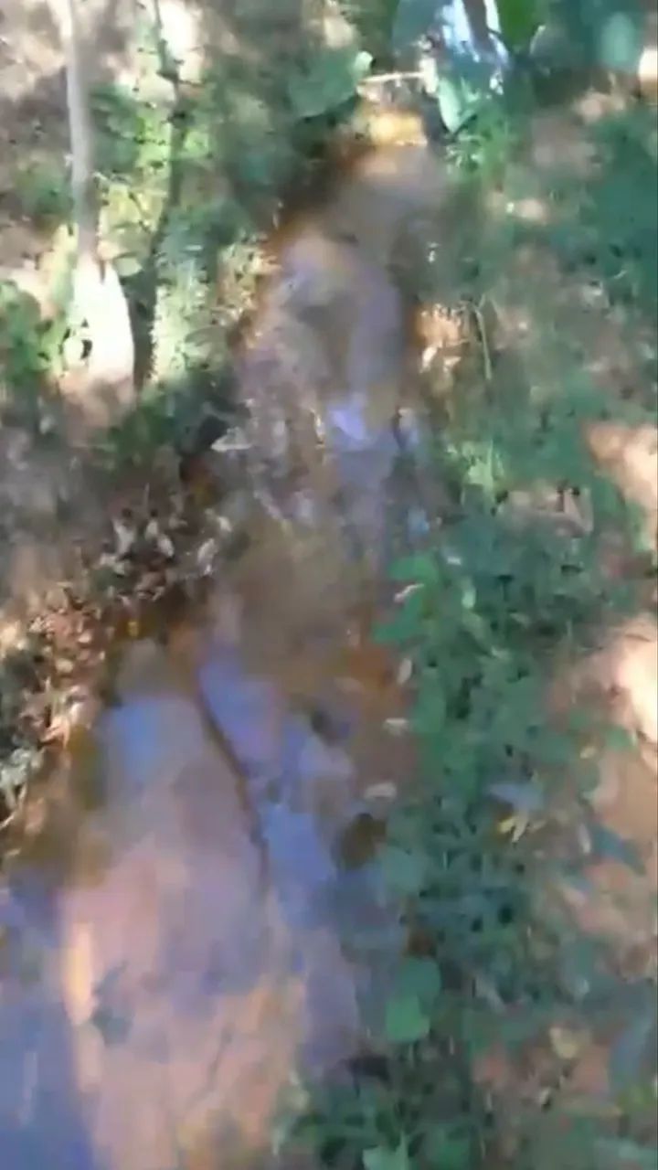 Vendo sítio com água e poço de peixe  - Foto 2