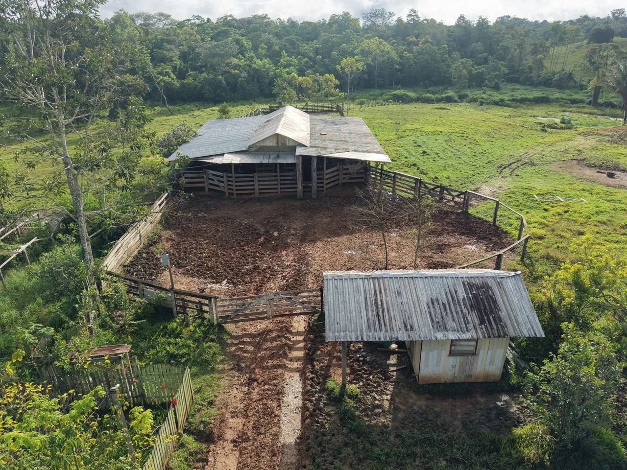Fazenda à venda, em Feijó Acre. - Foto 3