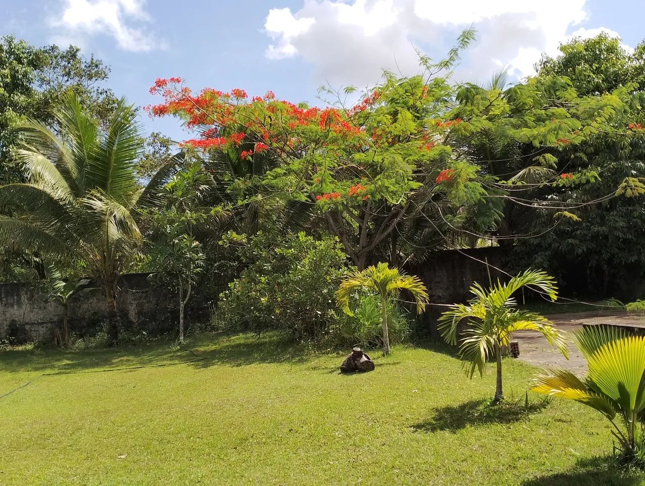 Chácara Paraíso em Aldeia  - Foto 3