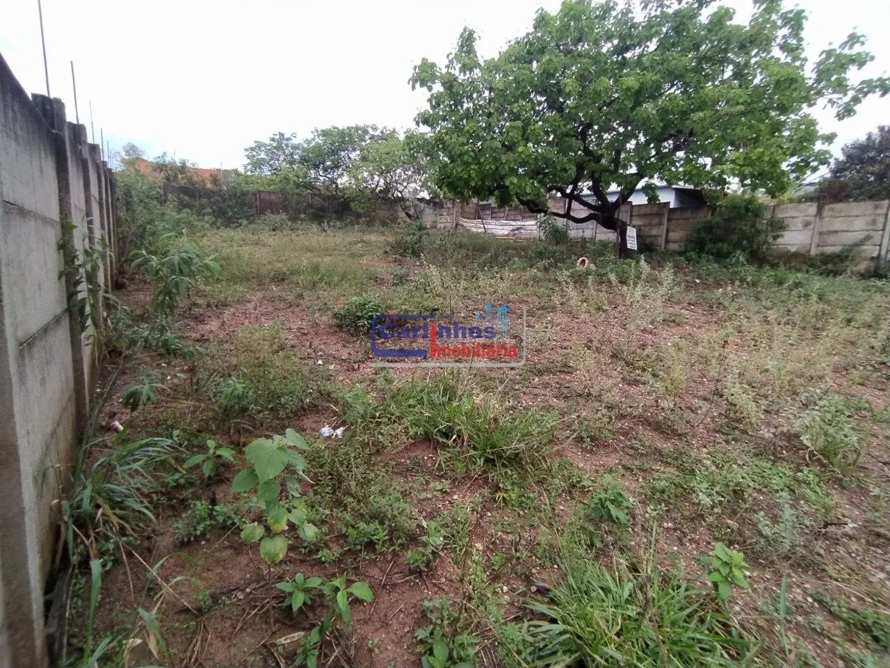 2 lotes à venda Samambaia, Juatuba - Foto 5