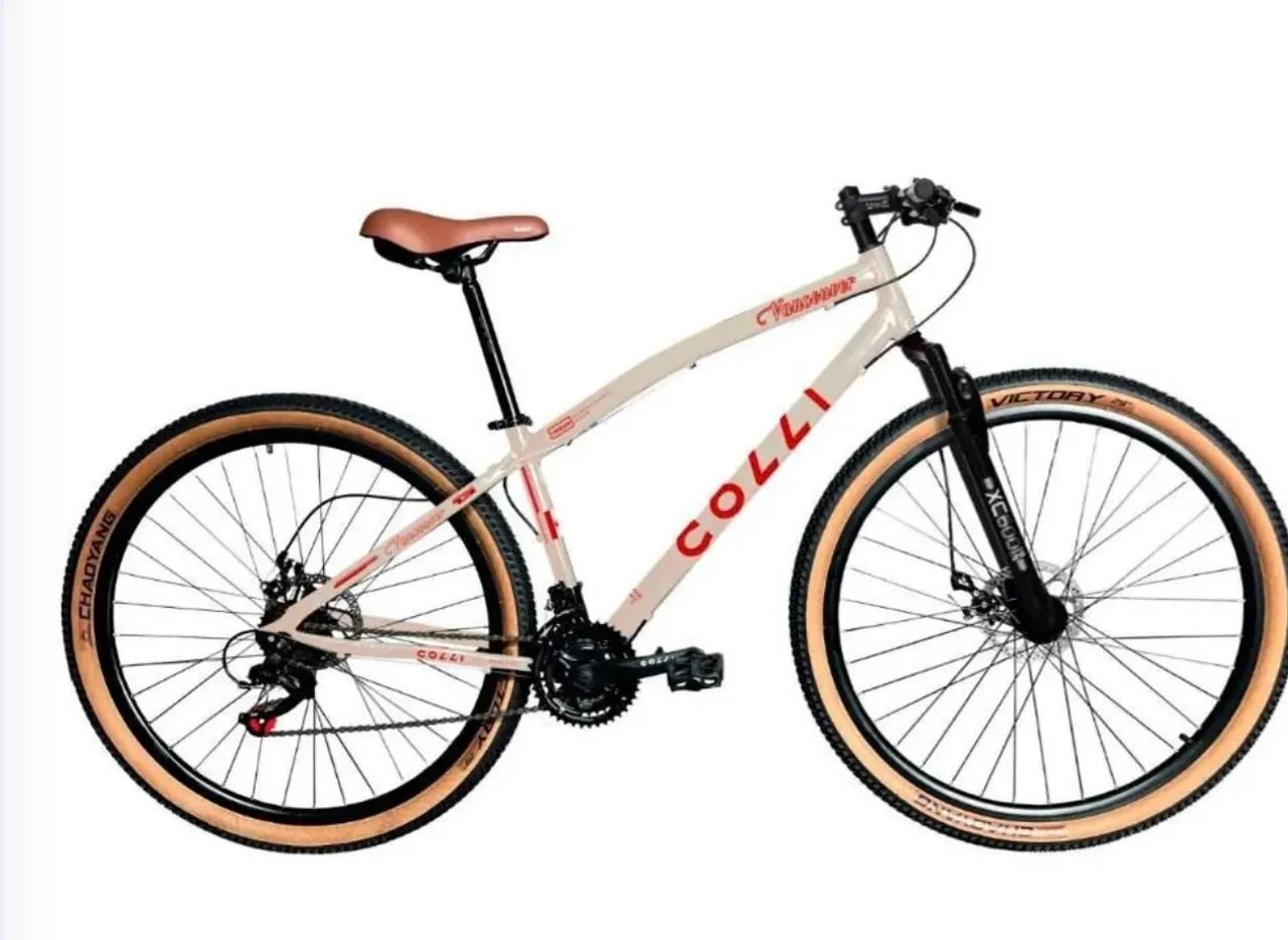 Bicicleta colli aro 29