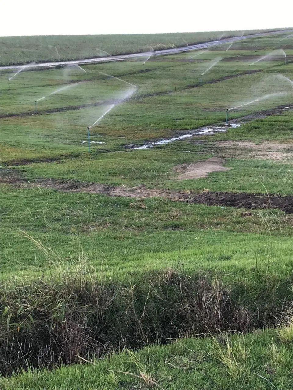 Fazenda Atalaia/ Pilar  - Foto 4