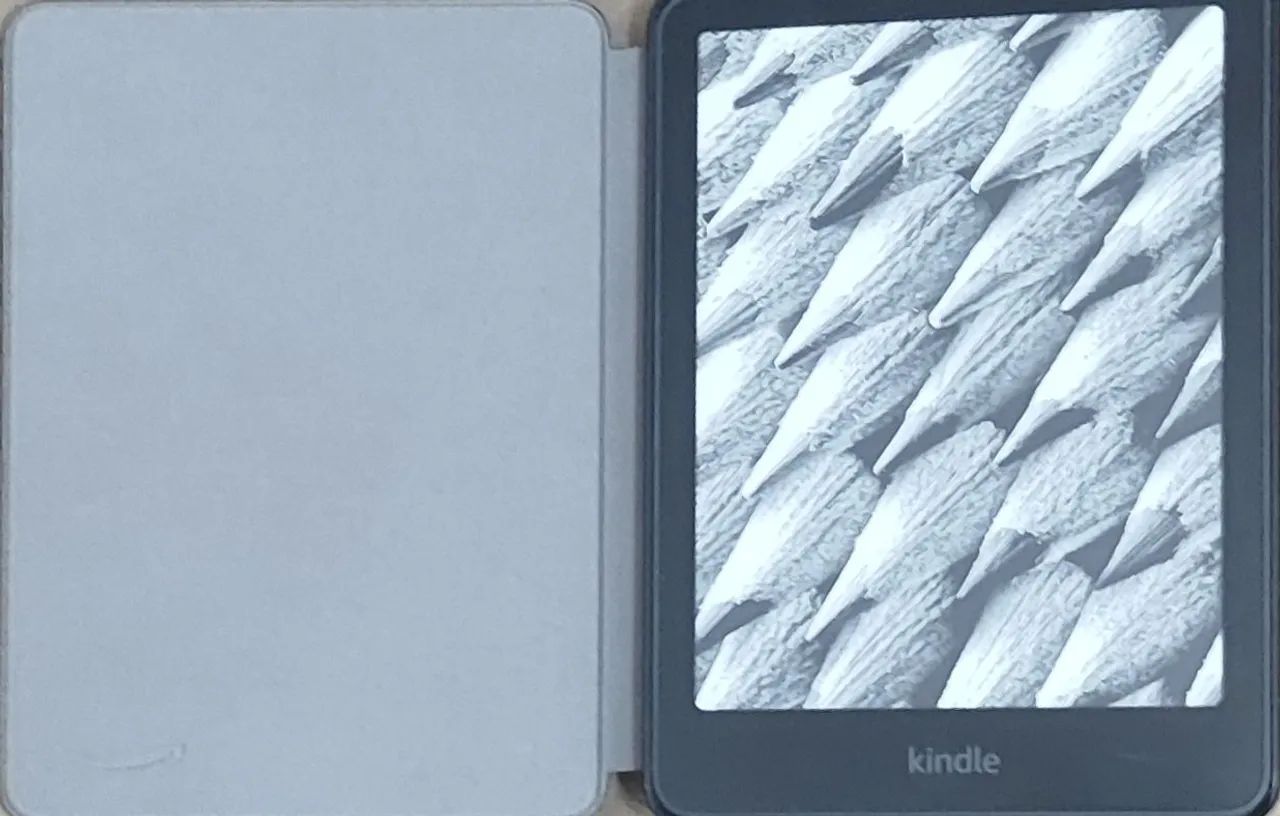 Venda Kindle 12ª geração 