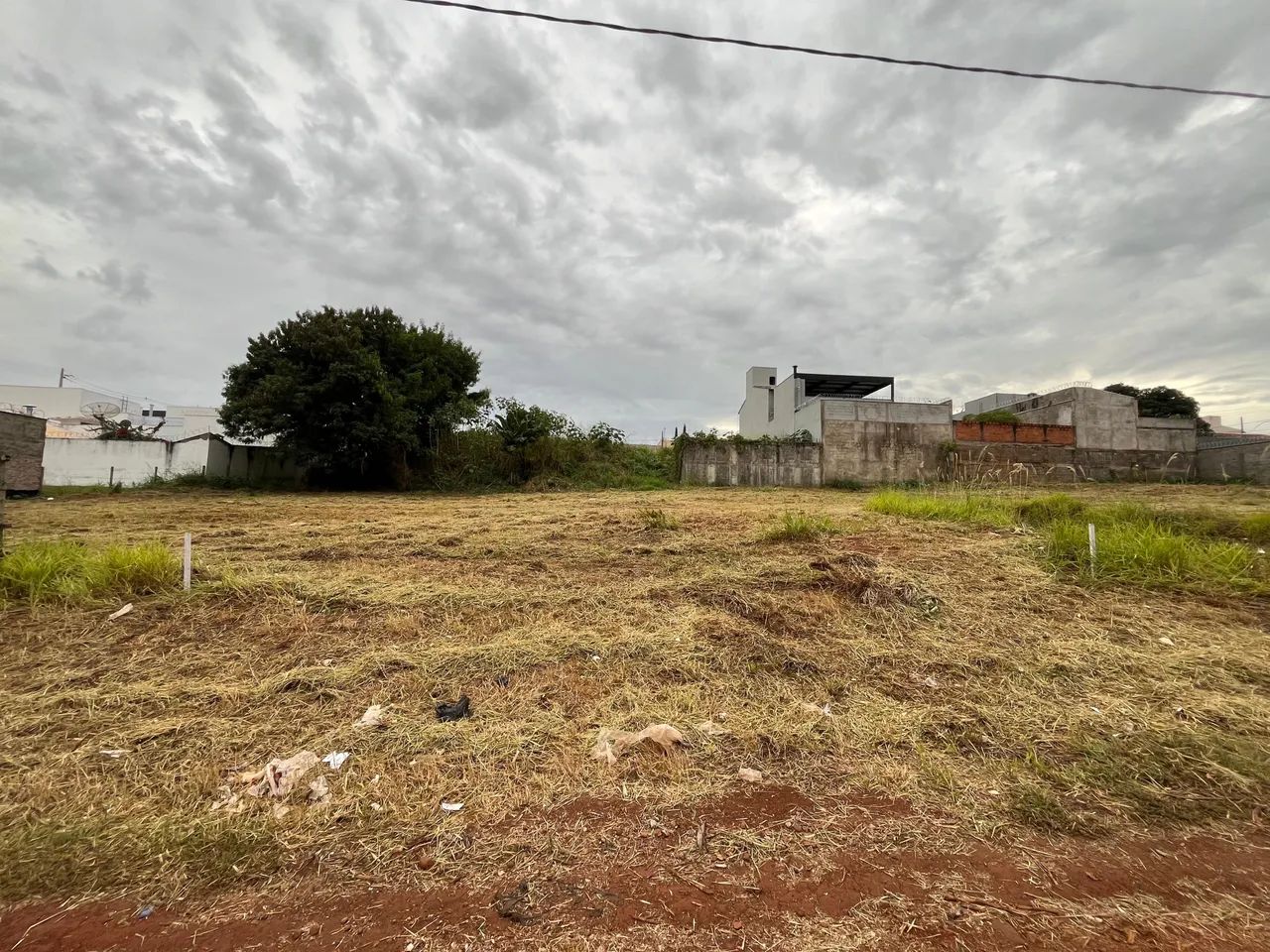 Terreno 300m3 Vigilato Pereira - Foto 2
