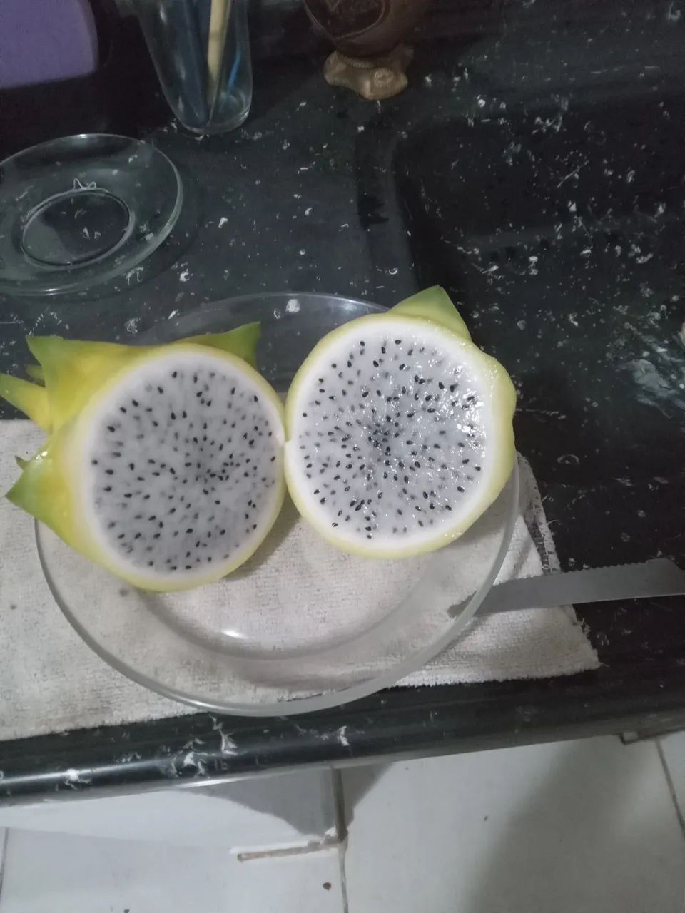 Pitaia Roxa Branca Amarela no Balde  - Foto 4