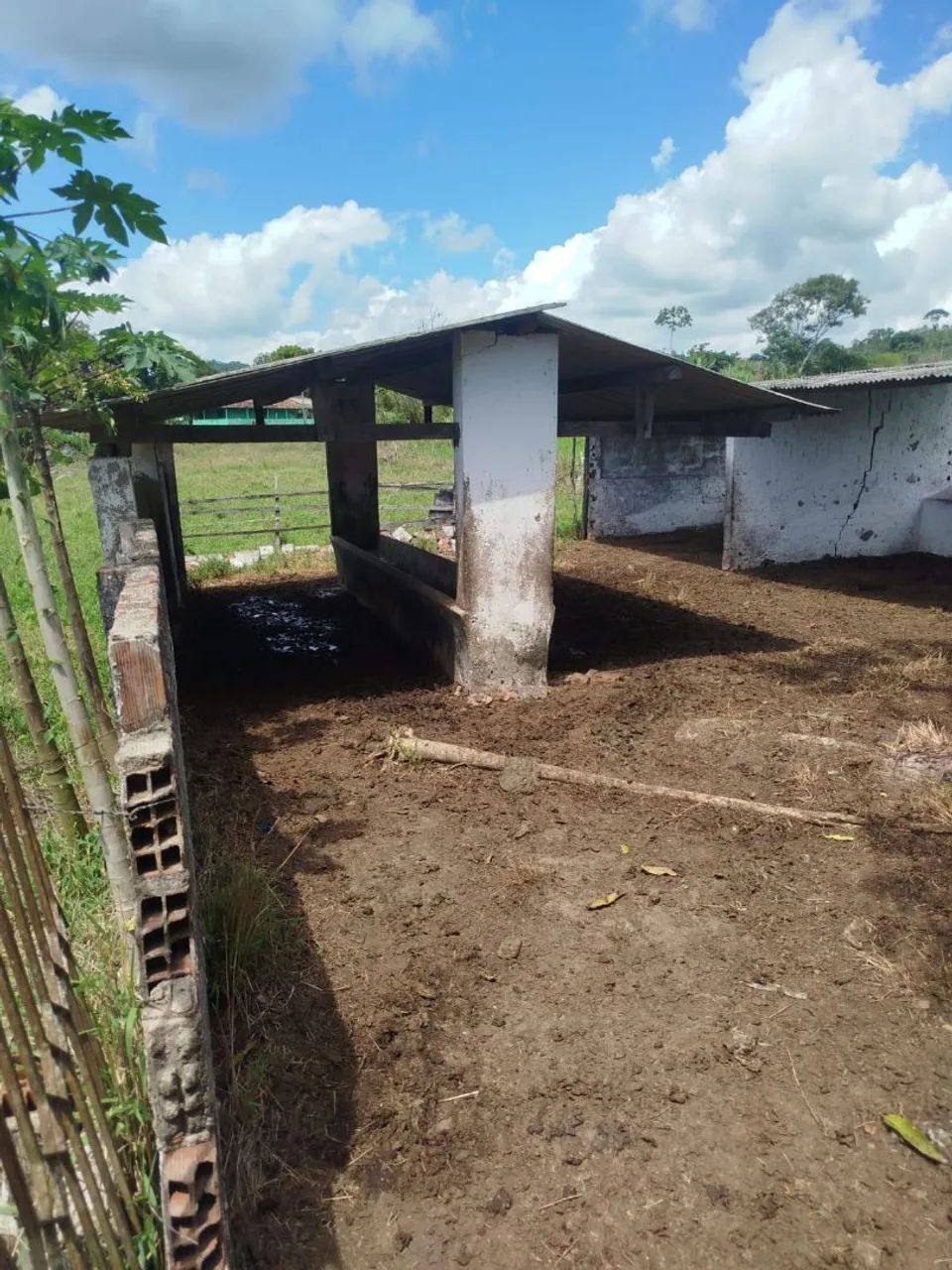 Sítio Mocotó - Vitória de Santo Antão - PE - Foto 3