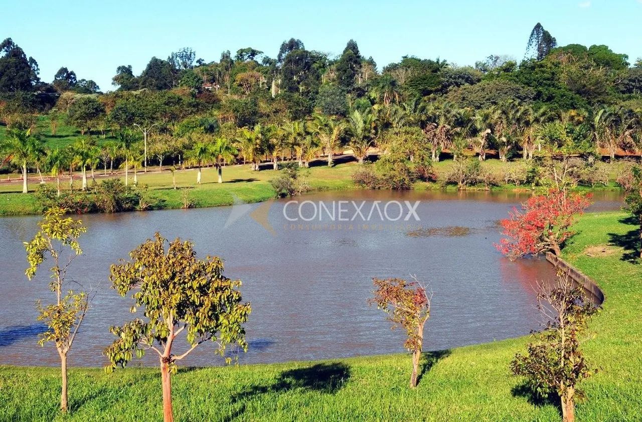 terreno - Jardim Paraíso - Campinas - Foto 4
