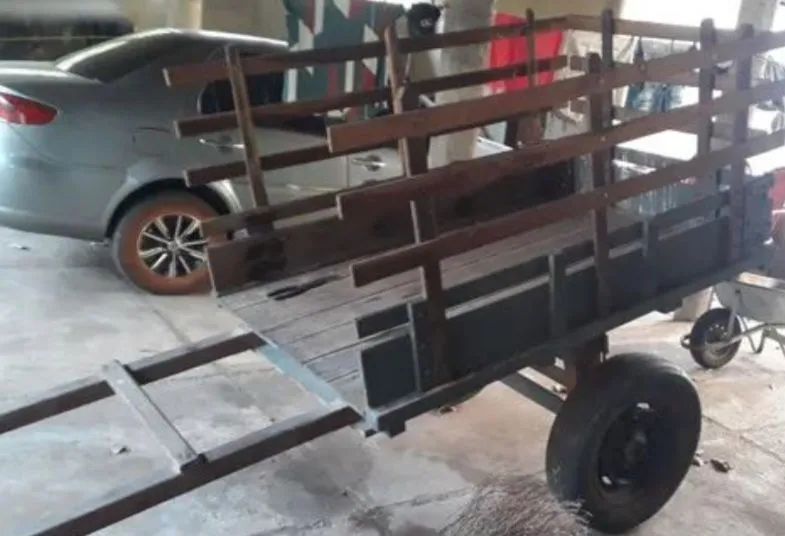 Carroça artesanal em Ipê maciço (Pau D'arco) - Estado de Nova. - Foto 4