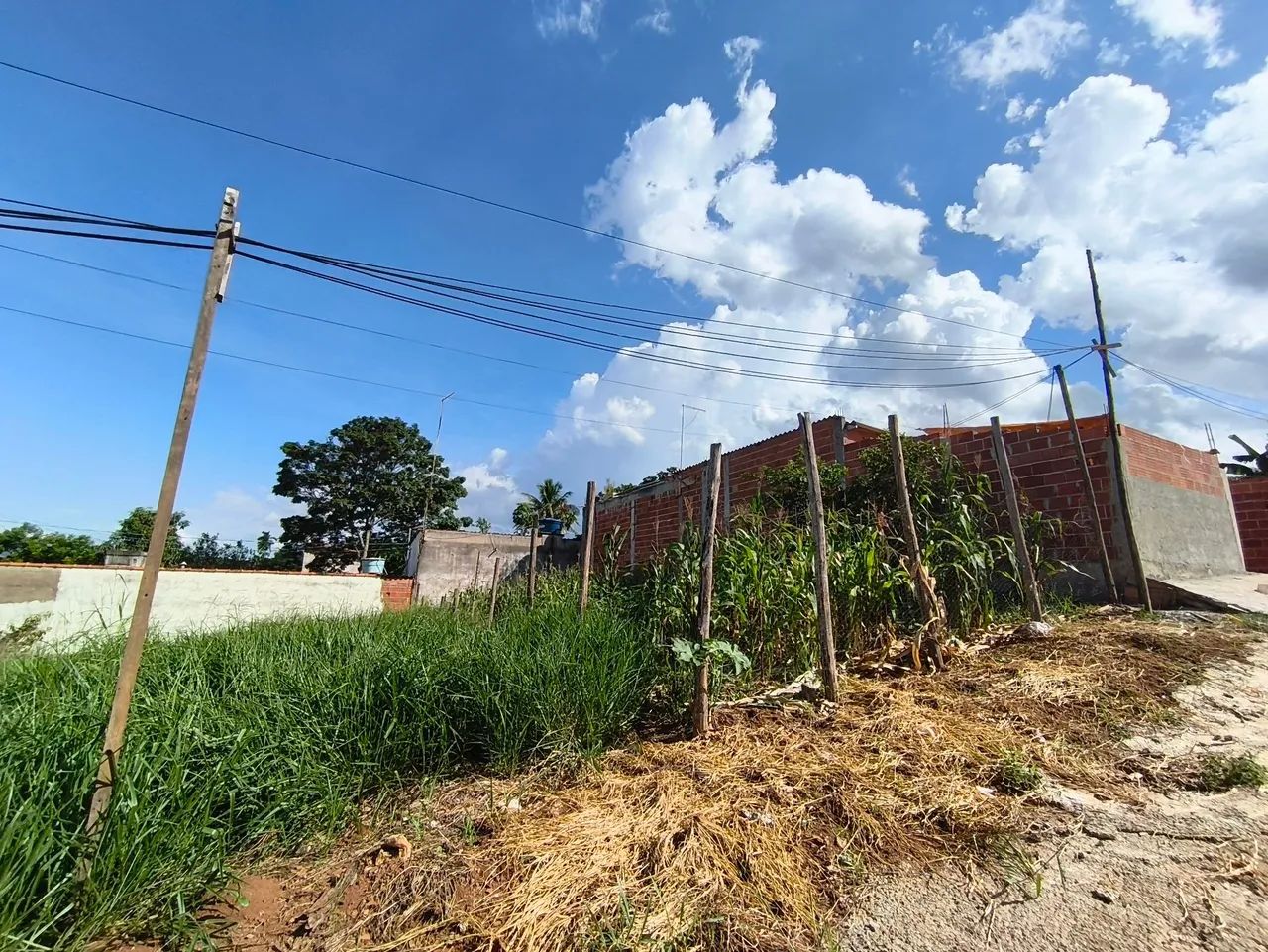 Foto - São José dos Campos - Jardim Santa Inês I