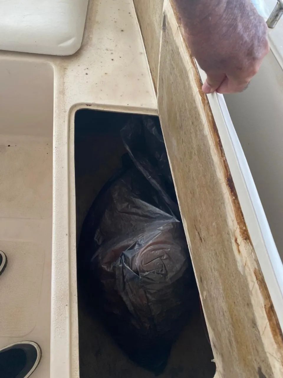 Lancha- Fry logic - Foto 5