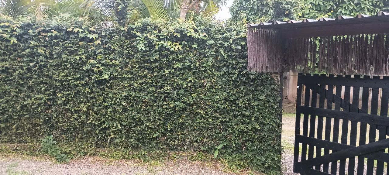 Casa em container - Foto 4