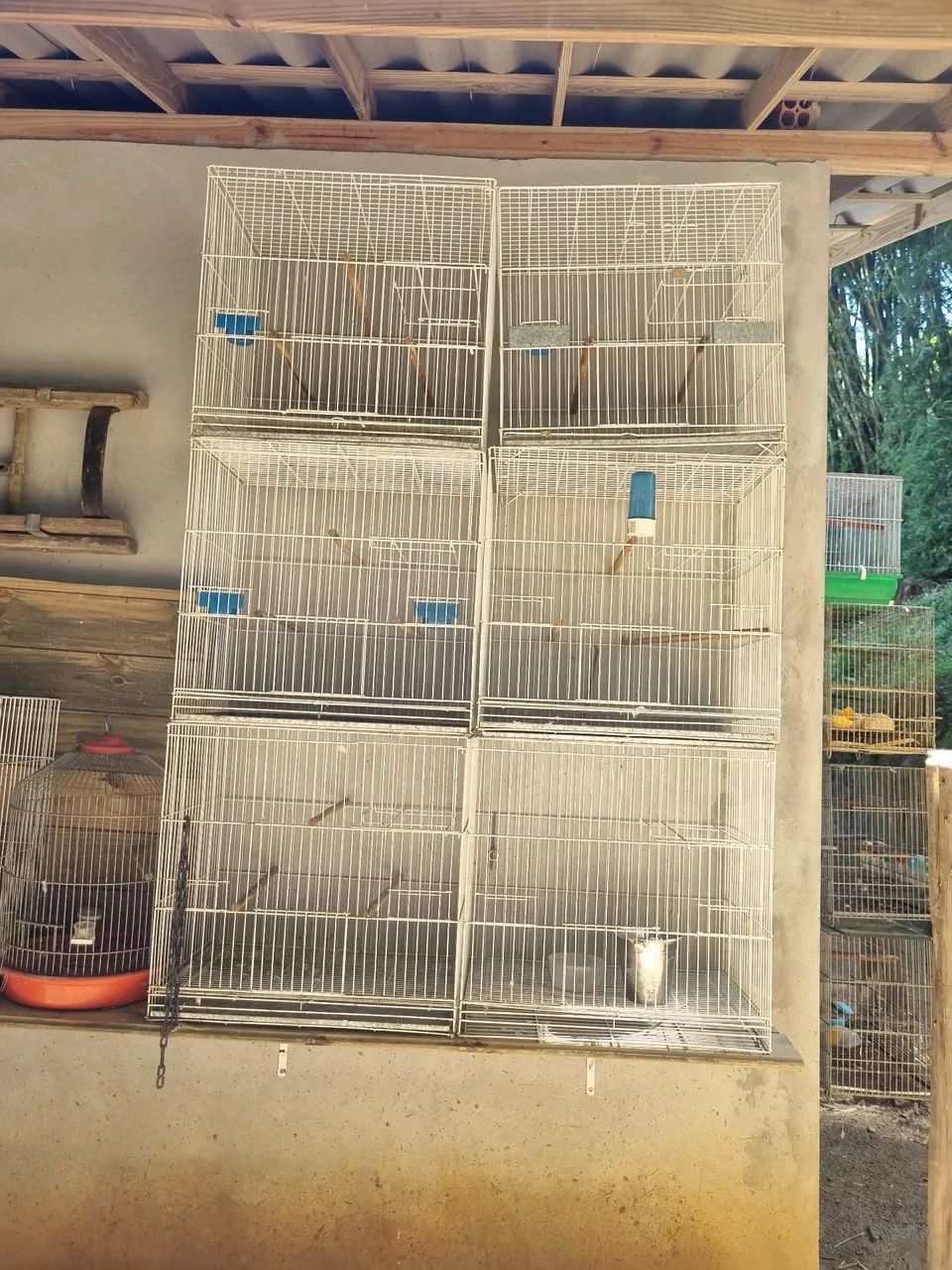 Gaiolas 