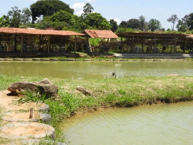 Chacara a venda com 3 hectares de propriedade - Foto 3