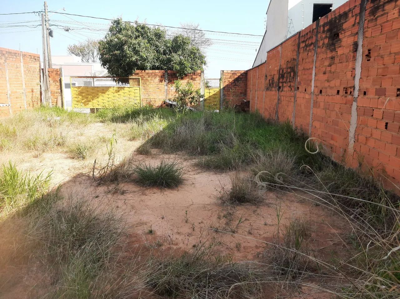 Terreno  - Foto 3