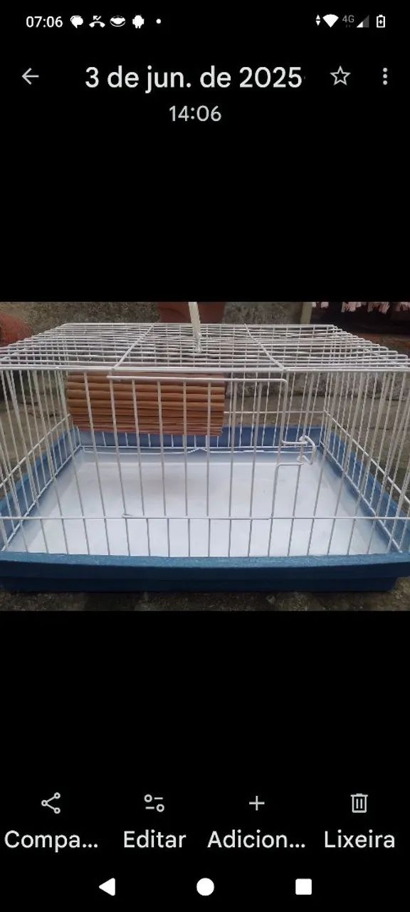 Gaiola De Porquinho Índia em Ótimo estado 