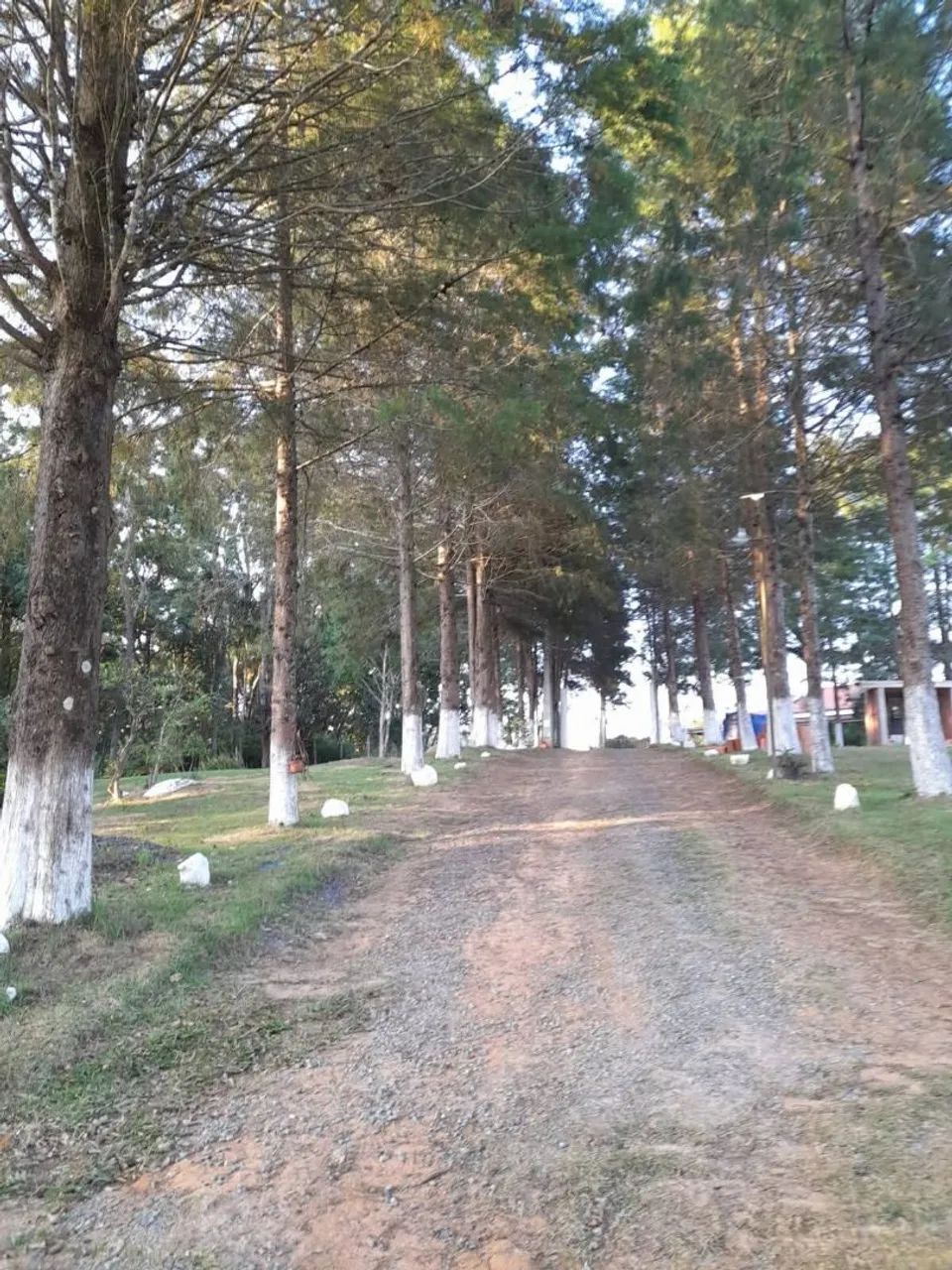 CHÁCARA  - Foto 2