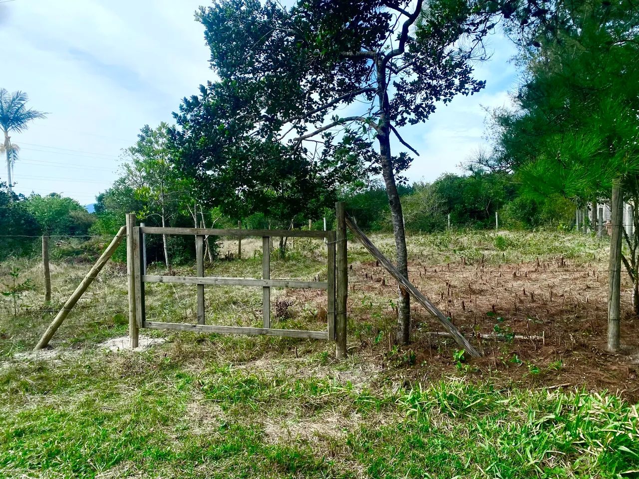 Lindo terreno na praia da pinheira  - Foto 4