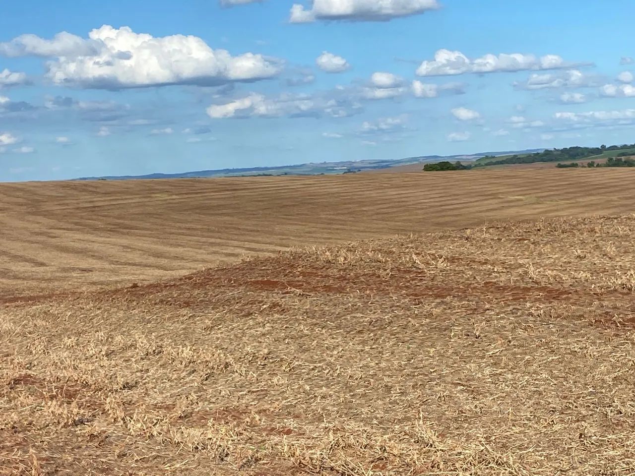 Fazenda de arrendamento  - Foto 2