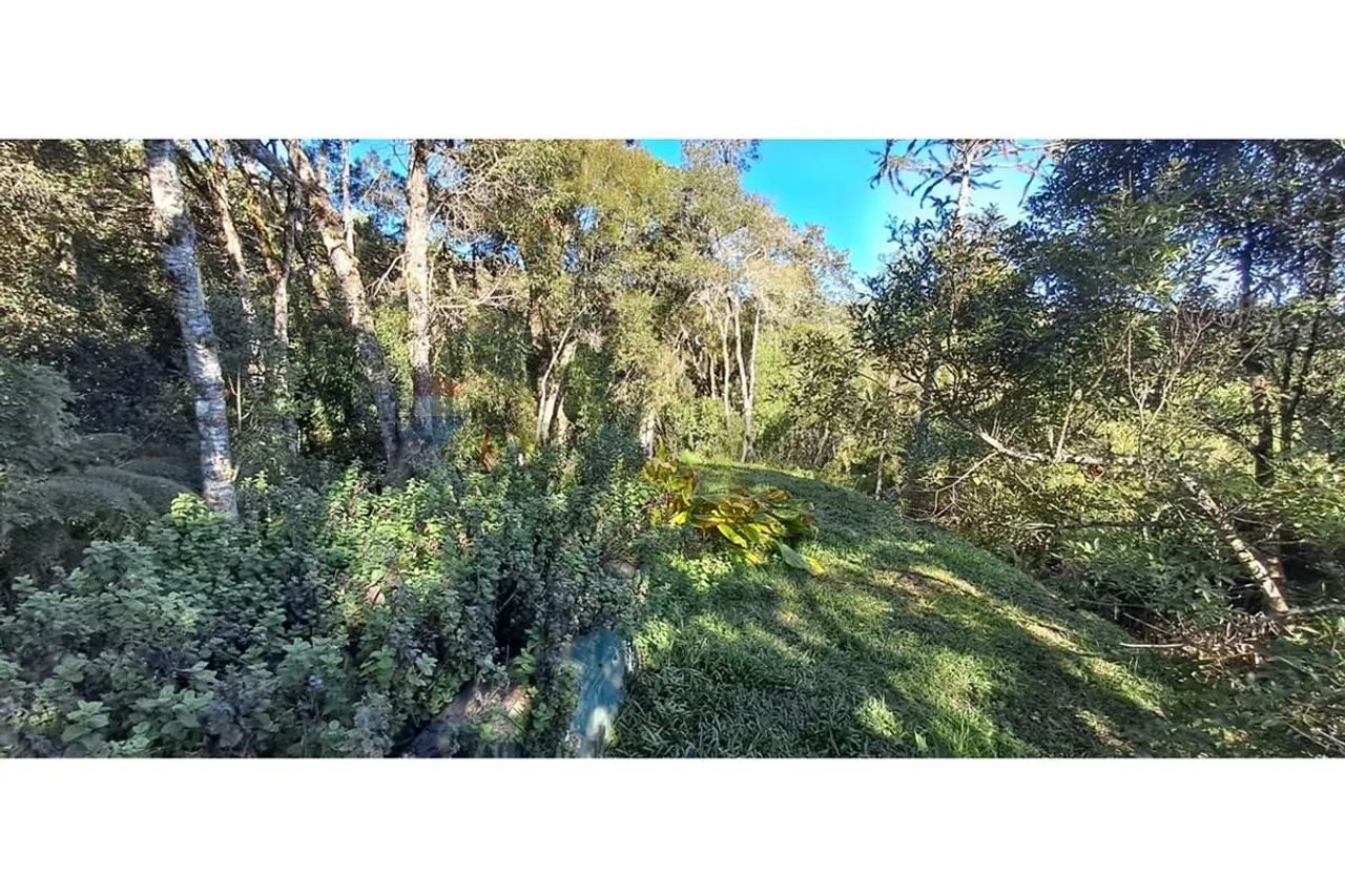 "Refúgio dos Sonhos: Casa de Campo em SC à Venda" - Foto 4