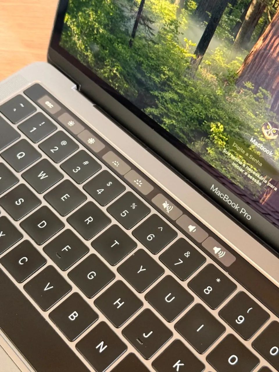 MacBook本体 Apple MacBook Pro 13 2019 i5/16GB/500GB Macbook Pro 13 2019 | Mercado Livre