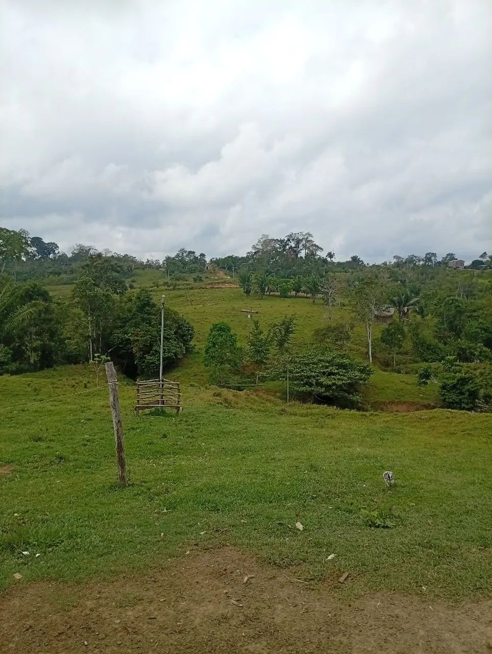 Vendo essa colônia 
