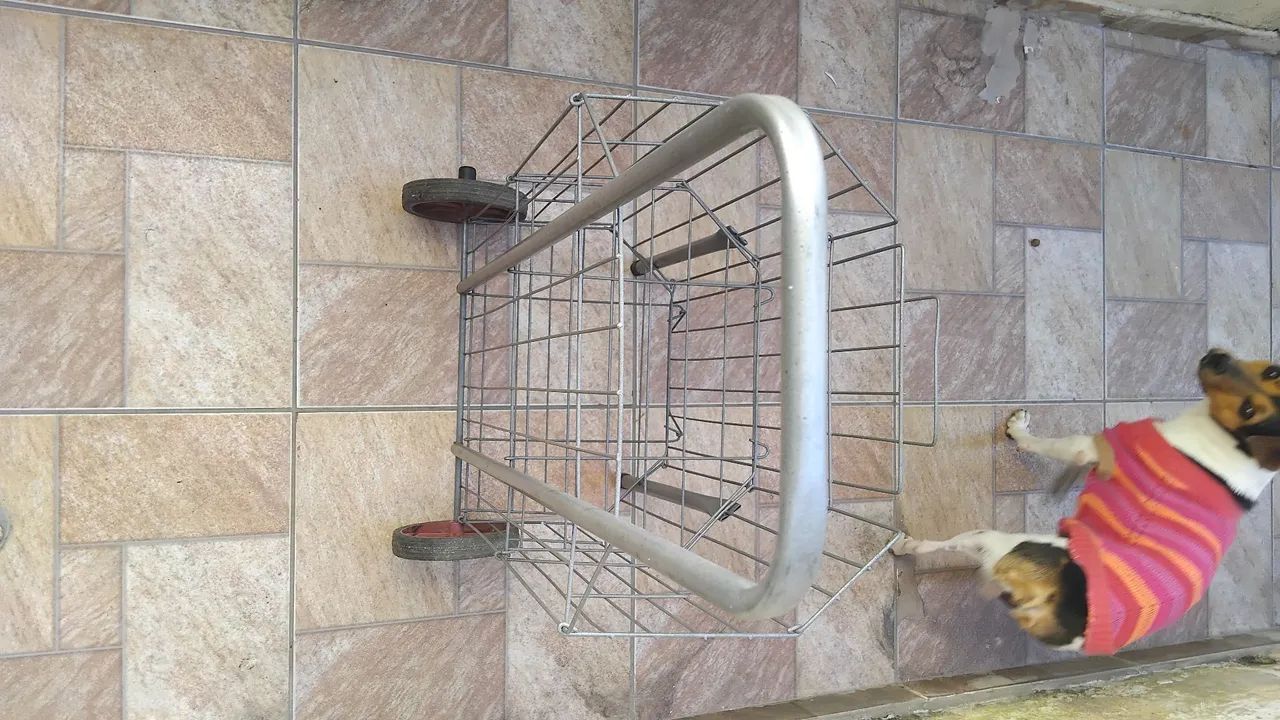Carrinho de feira dobravel