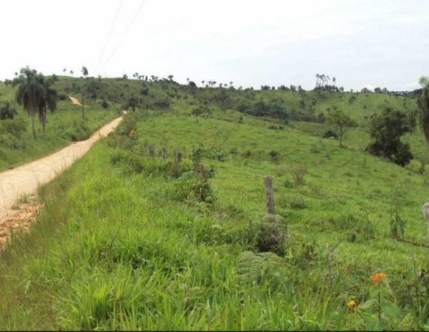 Excelente fazenda com 126 alqueires em Campo Largo - Foto 4