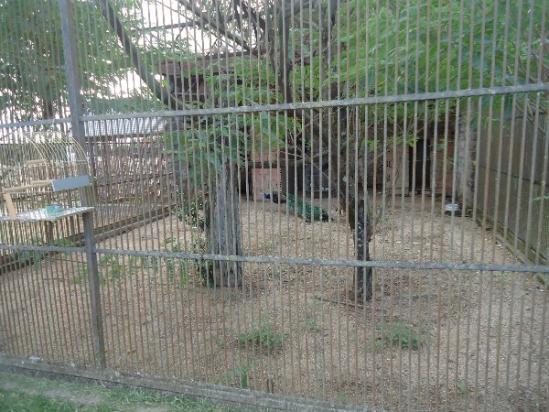 Terreno à venda em Aberta dos morros, Porto alegre cod:MI17355 - Foto 15