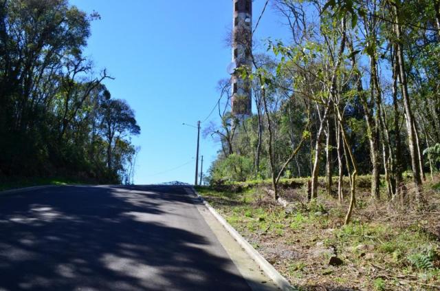 Terreno residencial à venda, floresta, gramado. - Foto 5