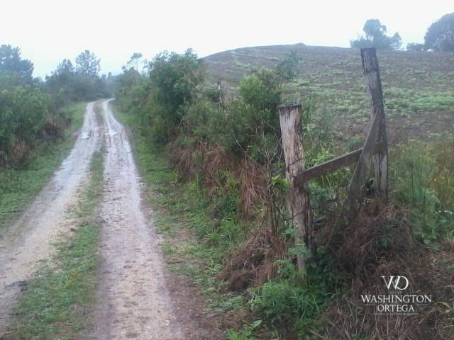 Chácara à venda, 2275517 m² por r$ 10.000.000,00 - centro - campo magro/pr - Foto 10