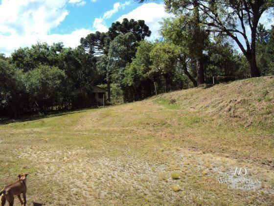 Chácara à venda, 2275517 m² por r$ 10.000.000,00 - centro - campo magro/pr - Foto 2