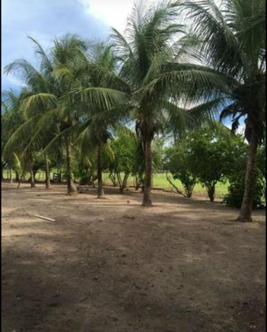 Vendo fazenda BARBADA - Foto 6