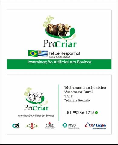 Inseminação