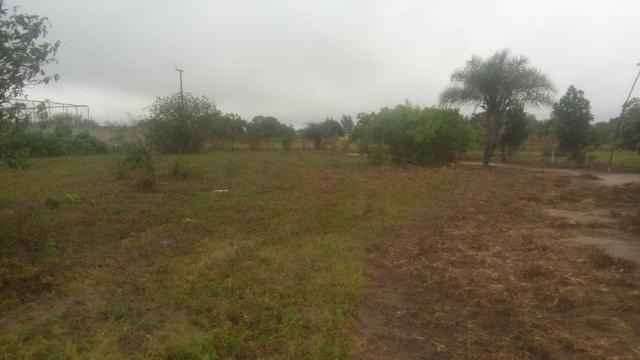 Chácara com casa árvores frutíferas 8.712 m² - Foto 4