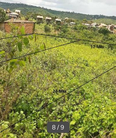 Vendo 6 Lotes a 300,00 Metros da Pista Local, em Gravatá-PE