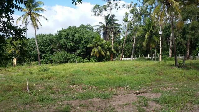 Granja Riachão 14.5 Hectares, 3 Baias, Aprisco, Cocheira, Poço, Casa sede e Morador - Foto 19