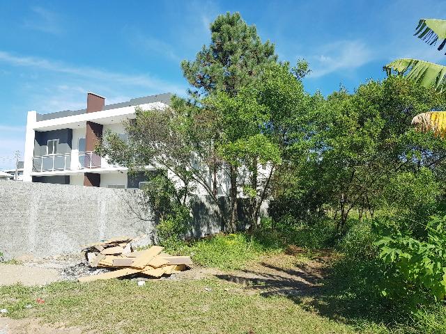 Belo Lote no Campeche à 300 mts. da Av. Pequeno Príncipe - Foto 4