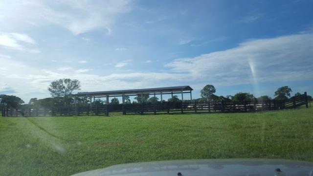 Fazenda Santo Antonio Leverger 870 Hectares - Foto 3