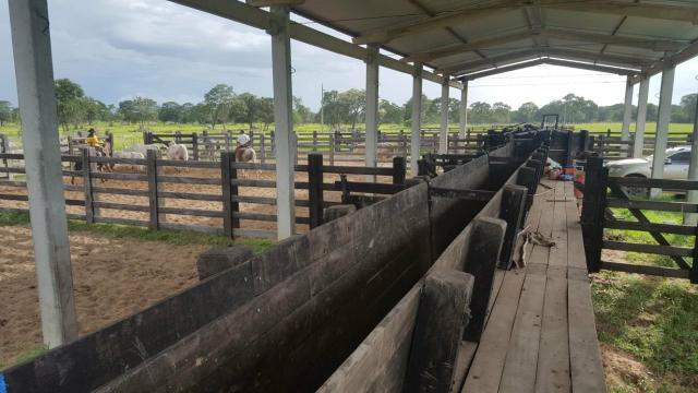 Fazenda Santo Antonio Leverger 870 Hectares - Foto 9