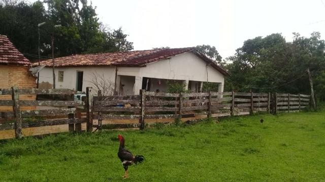 FAzenda de 234 alqueires na região de goianorte - Foto 14