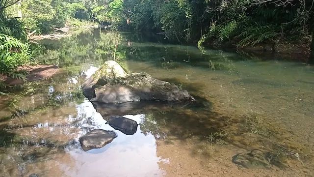 Chácara com um maravilhoso Rio para laser ou moradia  - Foto 3