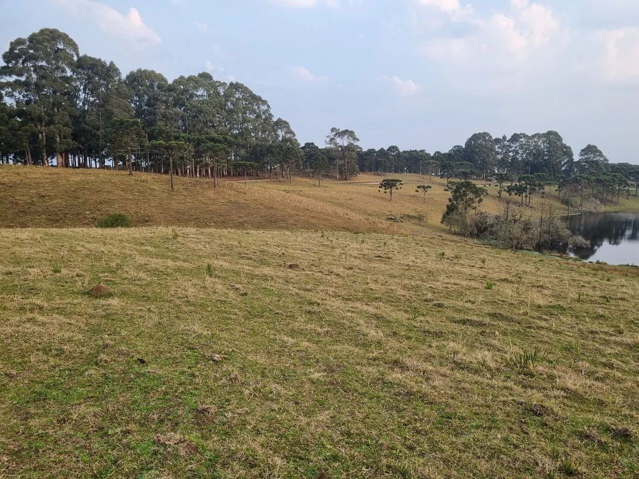 Sítio Chácara 33 hectares São Joaquim - Foto 4